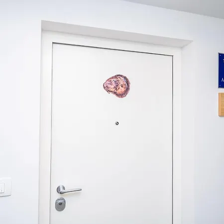 Appartement Ostrea Dubrovnik